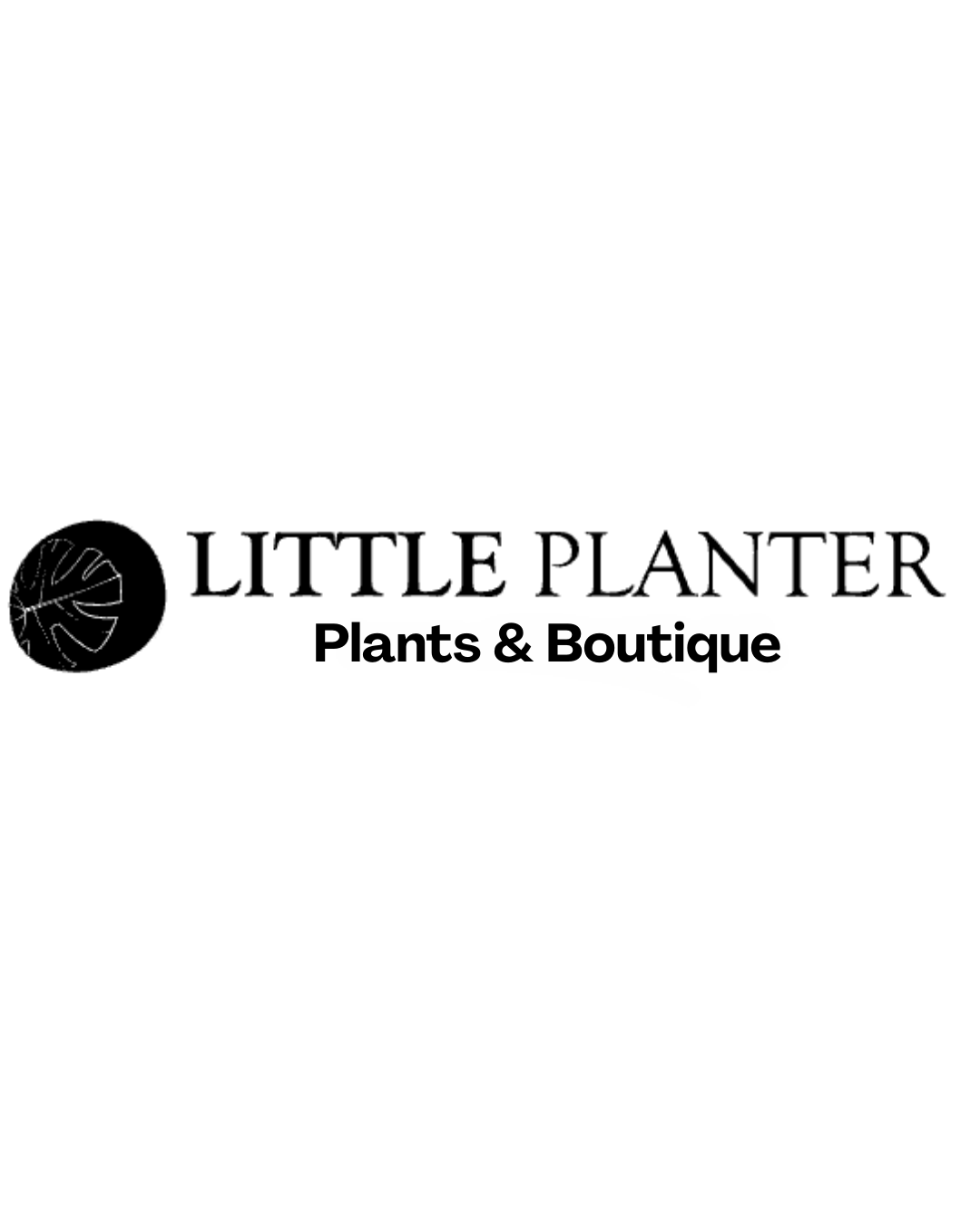 Founder of Little Planter